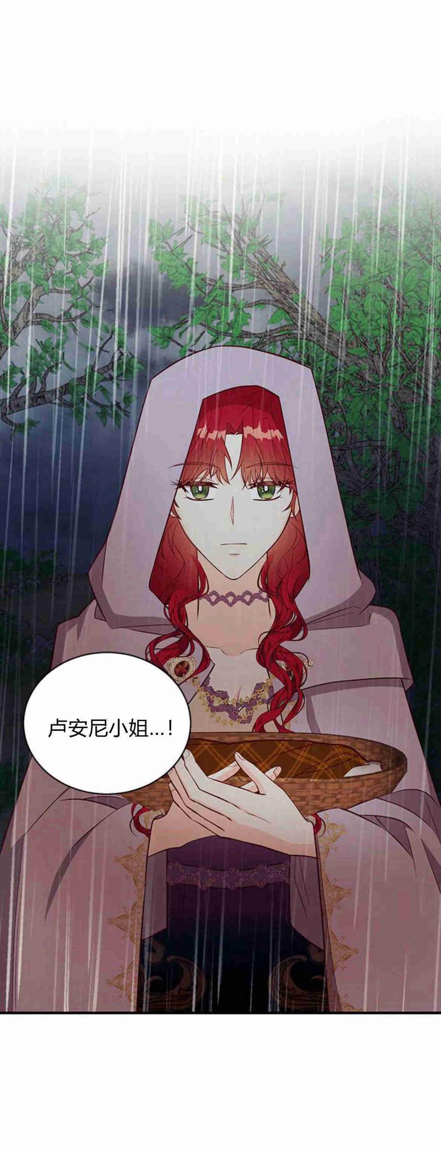伯爵小姐的双重生活 第25话 第27页