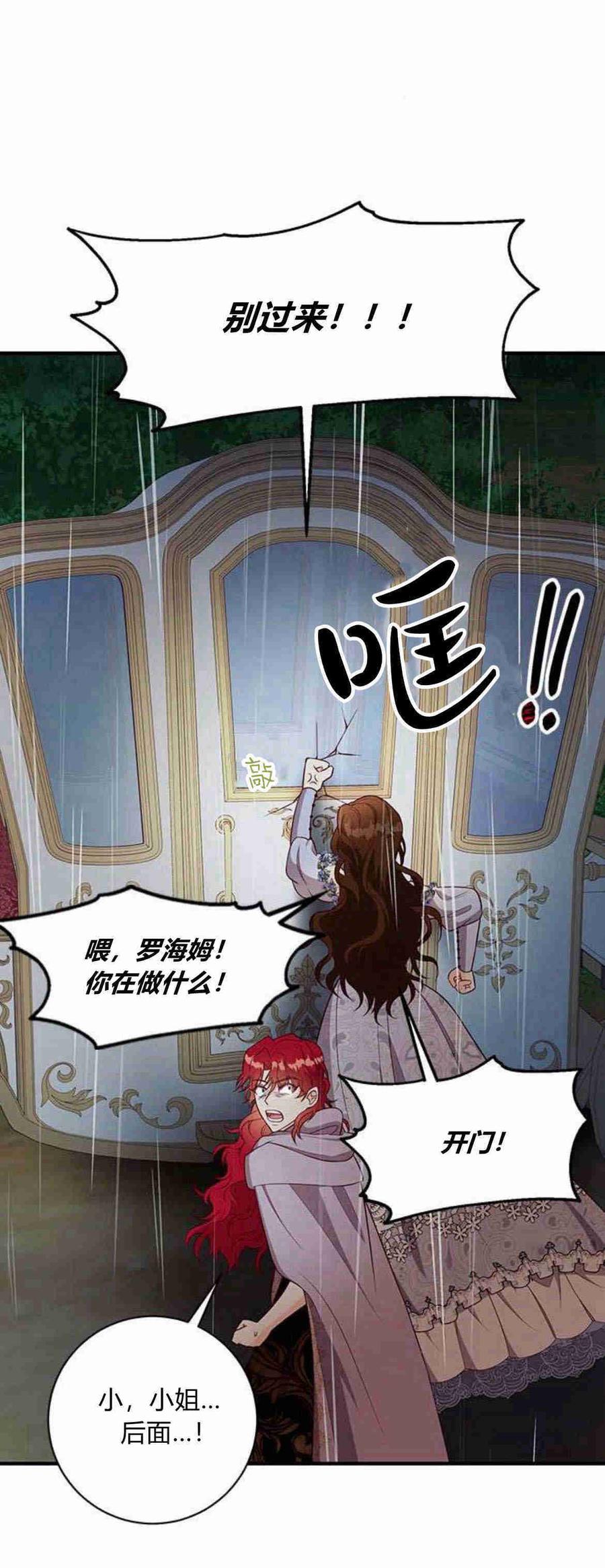 伯爵小姐的双重生活 第25话 第65页