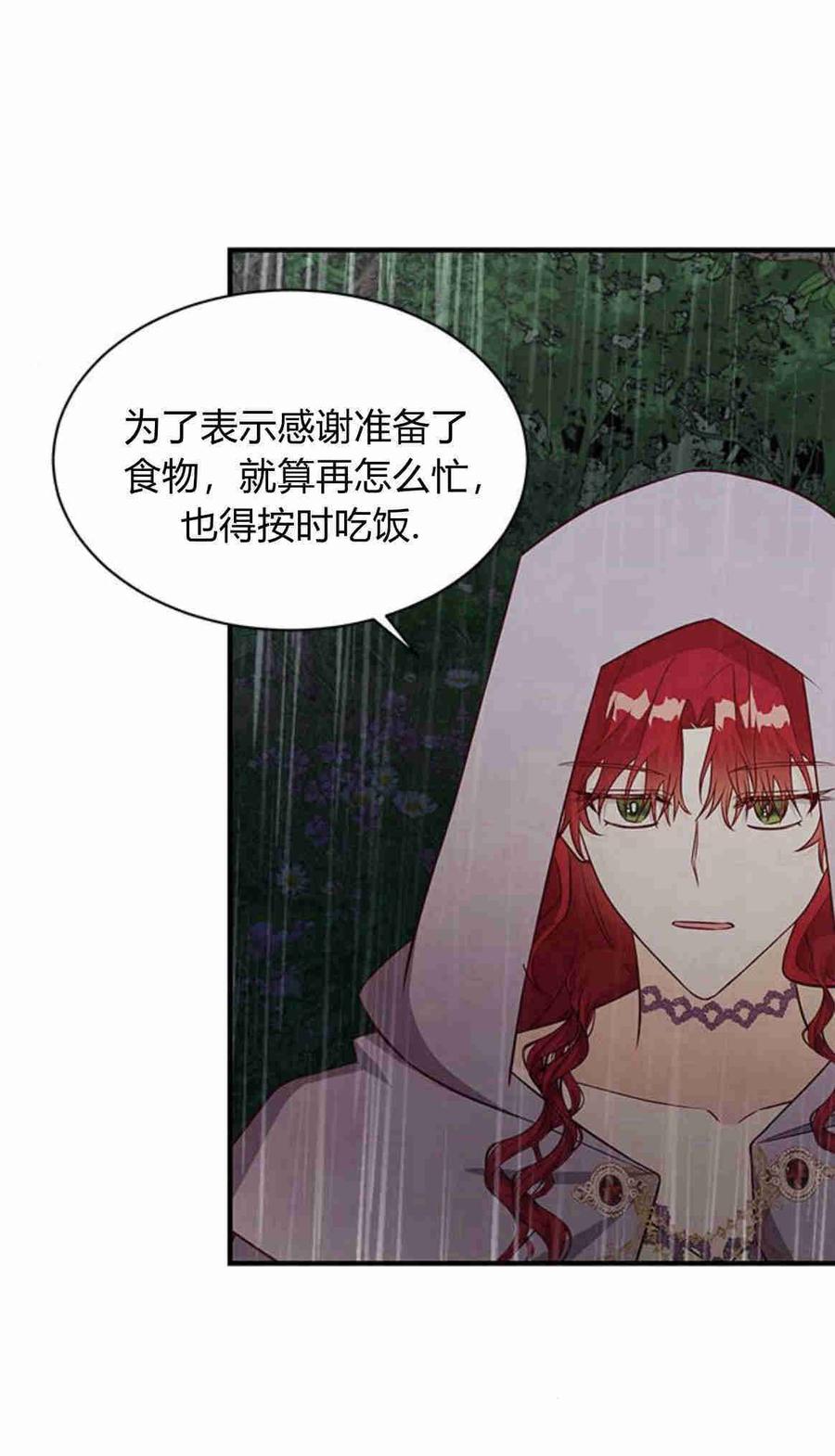 伯爵小姐的双重生活 第25话 第30页