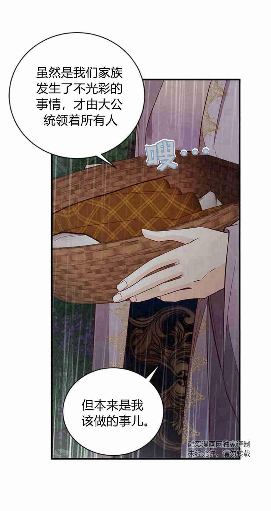 伯爵小姐的双重生活 第25话 第29页