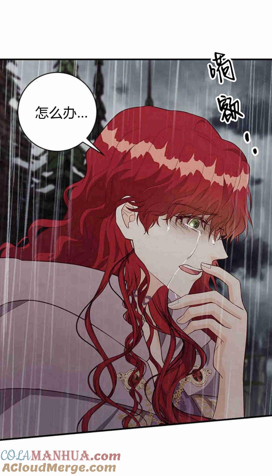 伯爵小姐的双重生活 第26话 第21页