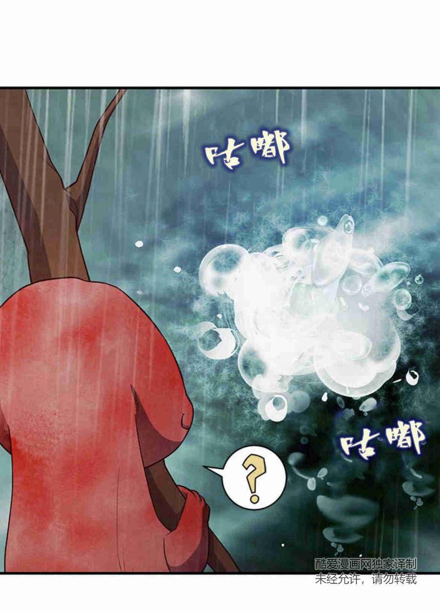伯爵小姐的双重生活 第26话 第29页