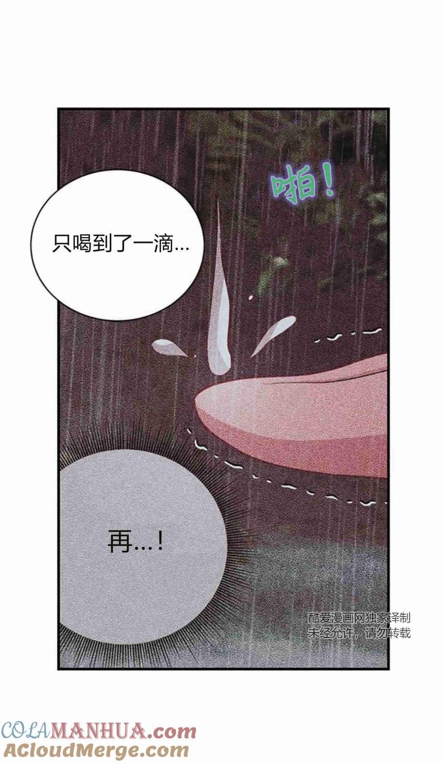 伯爵小姐的双重生活 第27话 第15页