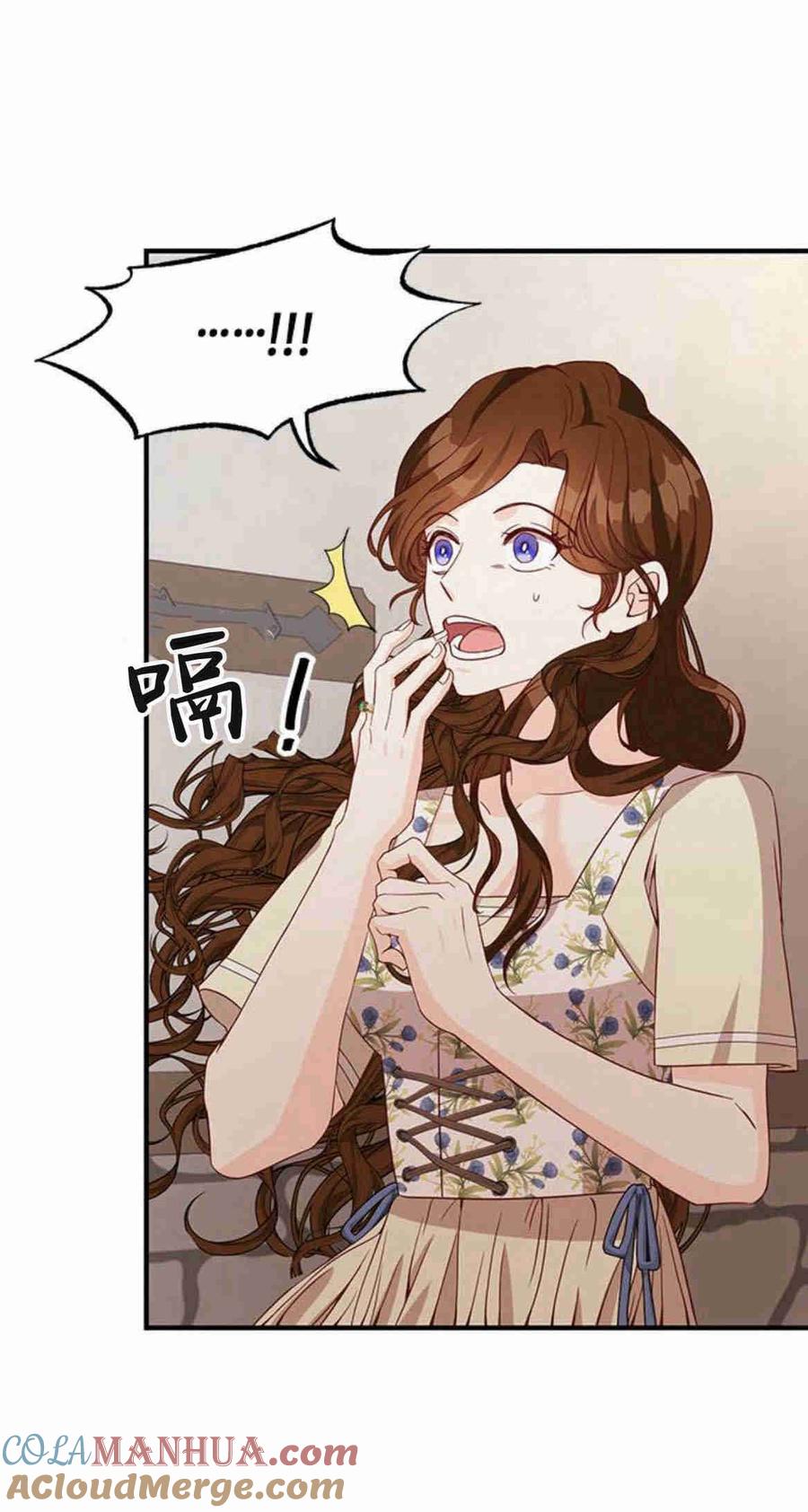 伯爵小姐的双重生活 第27话 第36页