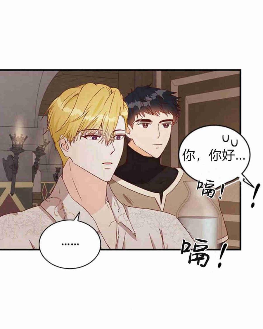 伯爵小姐的双重生活 第27话 第41页