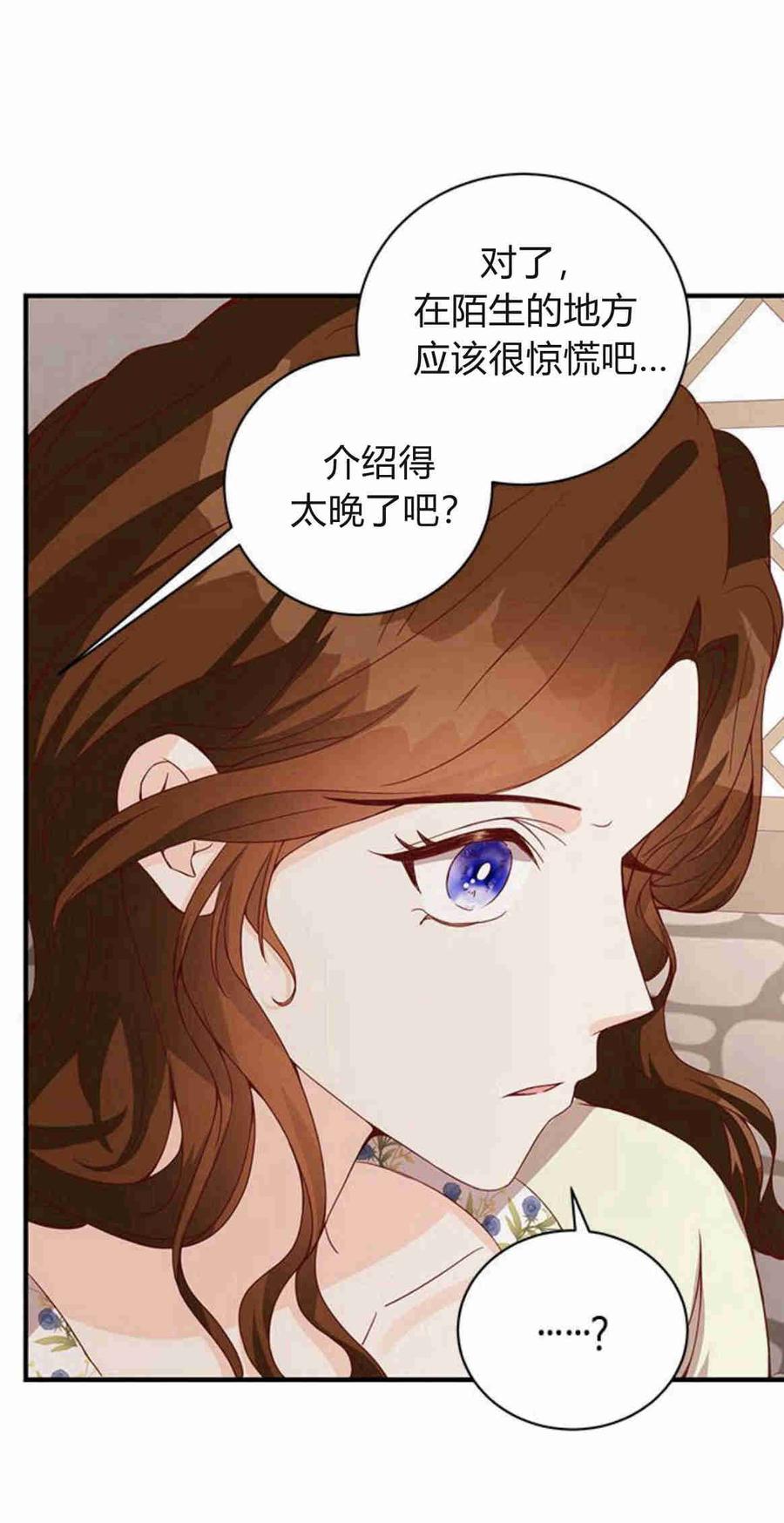 伯爵小姐的双重生活 第27话 第53页
