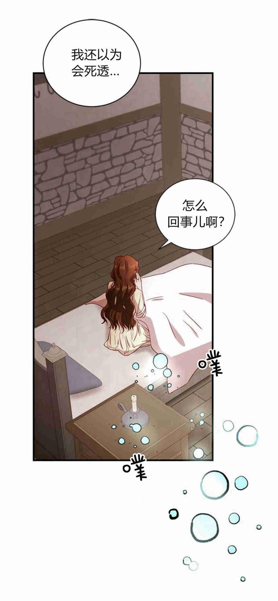 伯爵小姐的双重生活 第27话 第11页