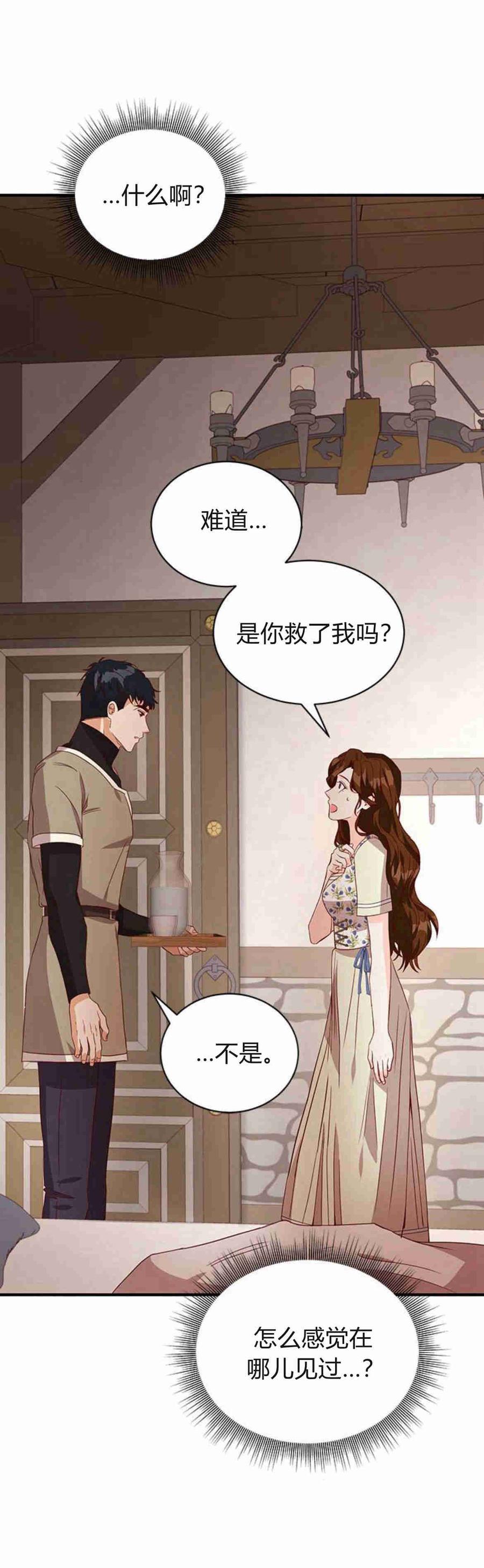 伯爵小姐的双重生活 第27话 第31页