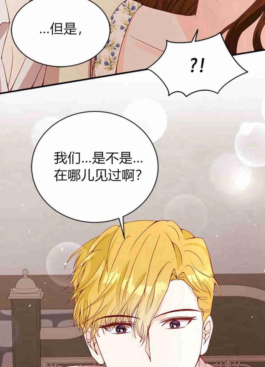 伯爵小姐的双重生活 第27话 第49页