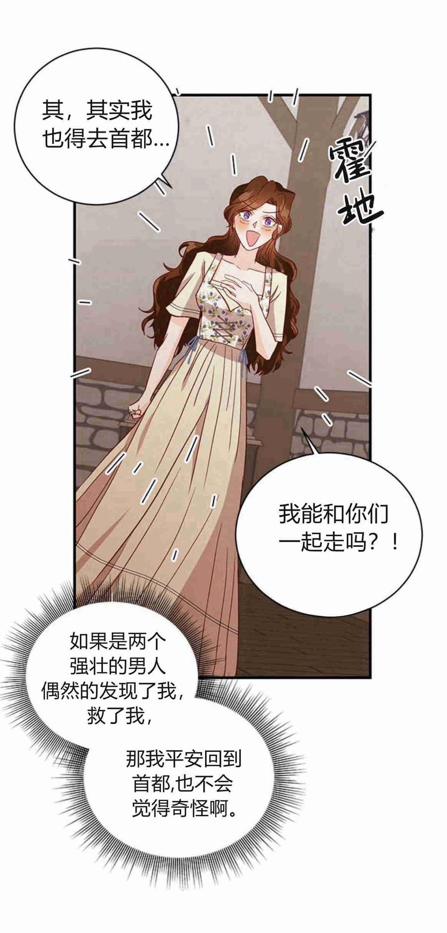 伯爵小姐的双重生活 第27话 第73页