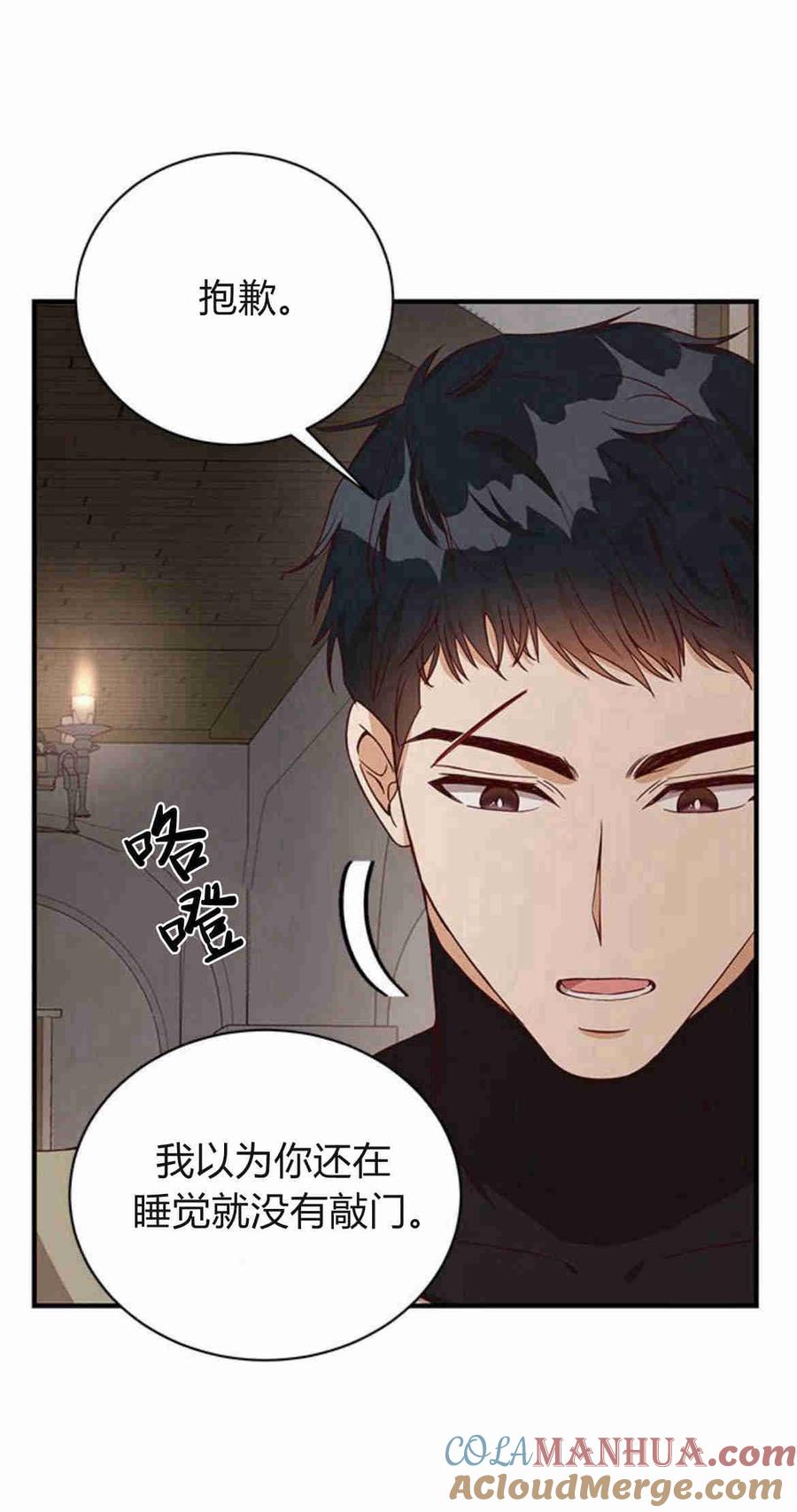 伯爵小姐的双重生活 第27话 第30页