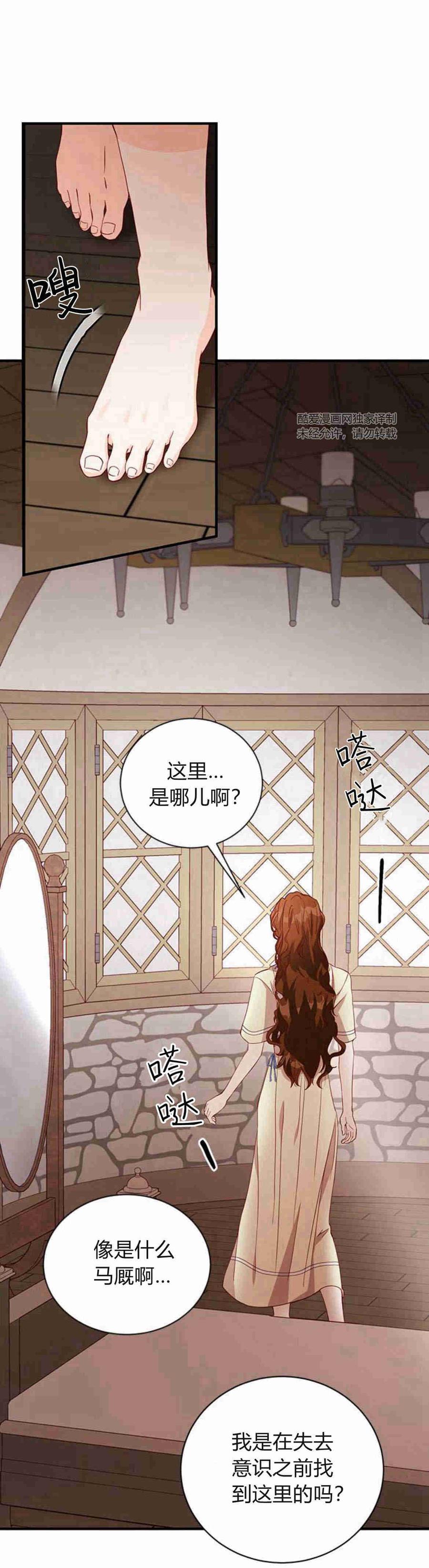 伯爵小姐的双重生活 第27话 第20页