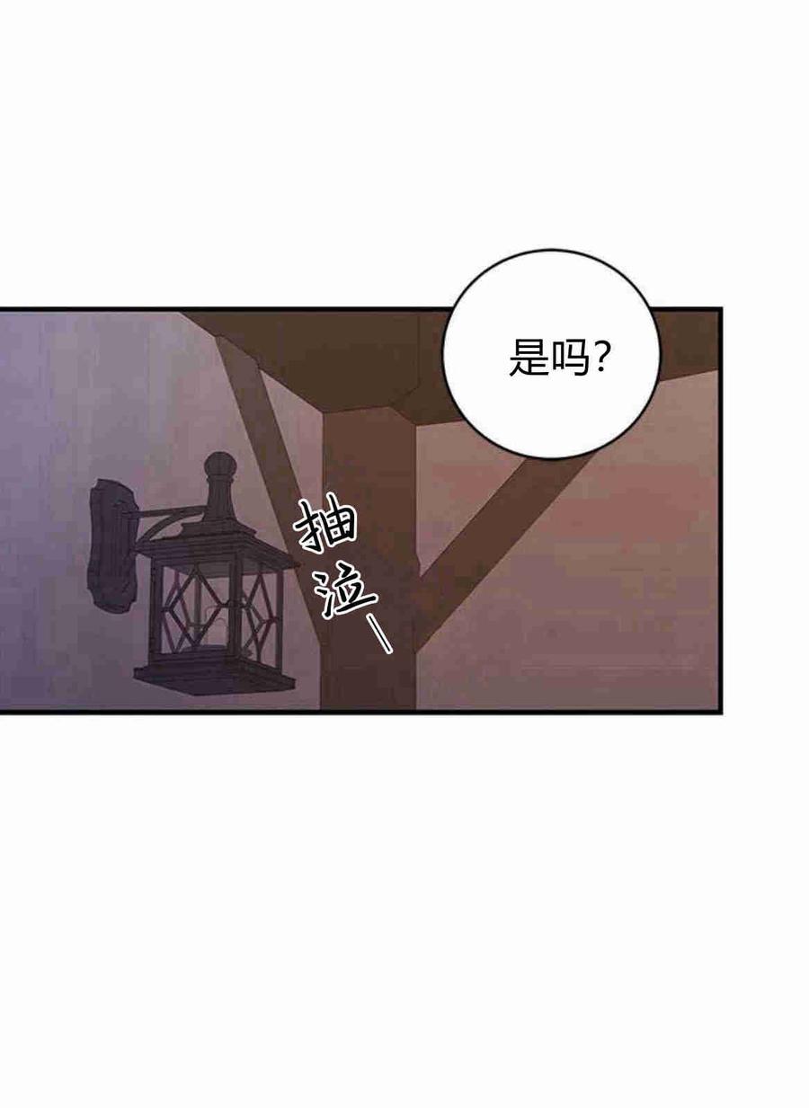 伯爵小姐的双重生活 第28话 第77页