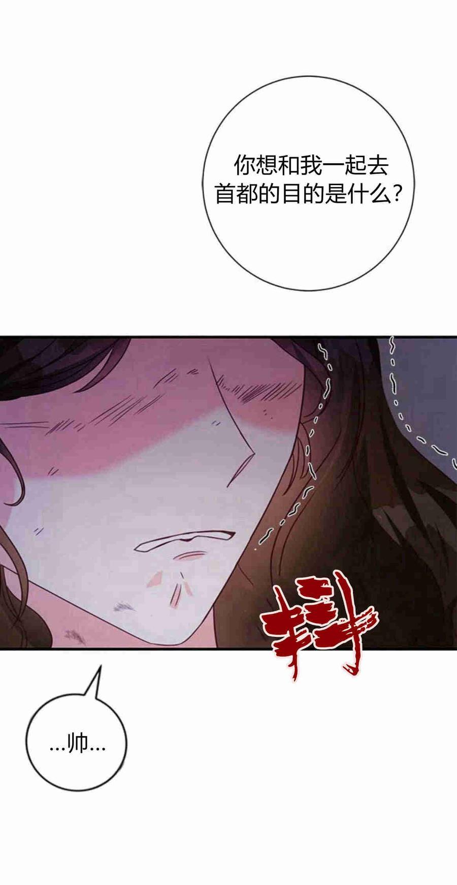 伯爵小姐的双重生活 第28话 第71页