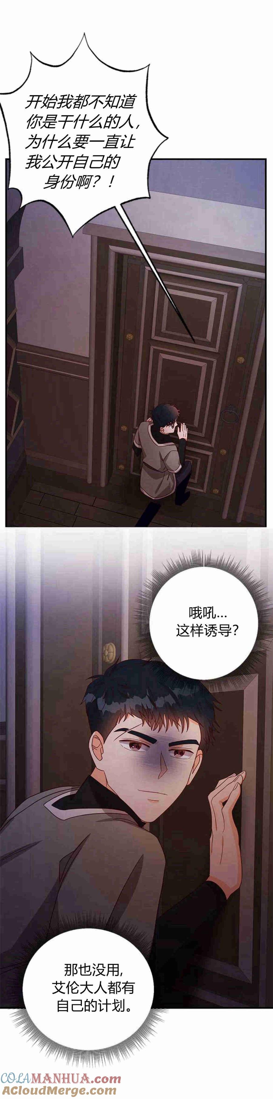 伯爵小姐的双重生活 第28话 第76页