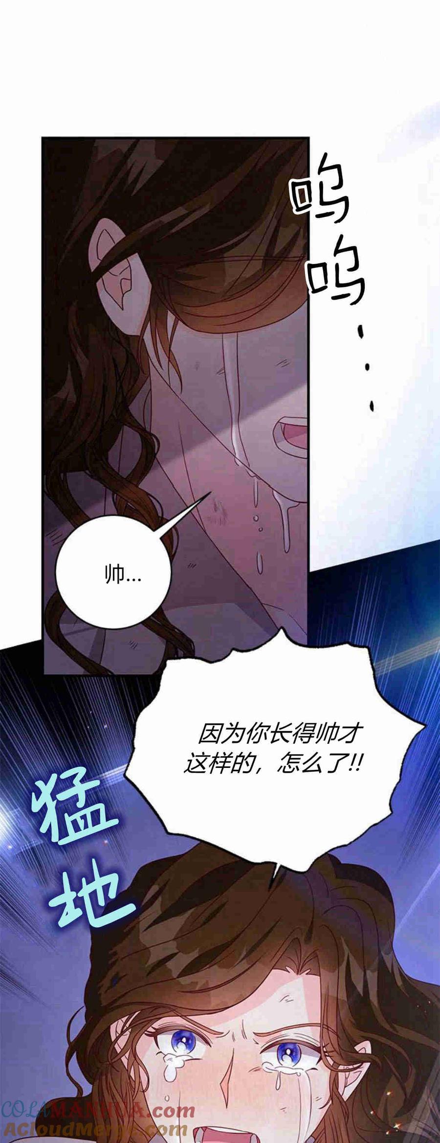 伯爵小姐的双重生活 第28话 第73页