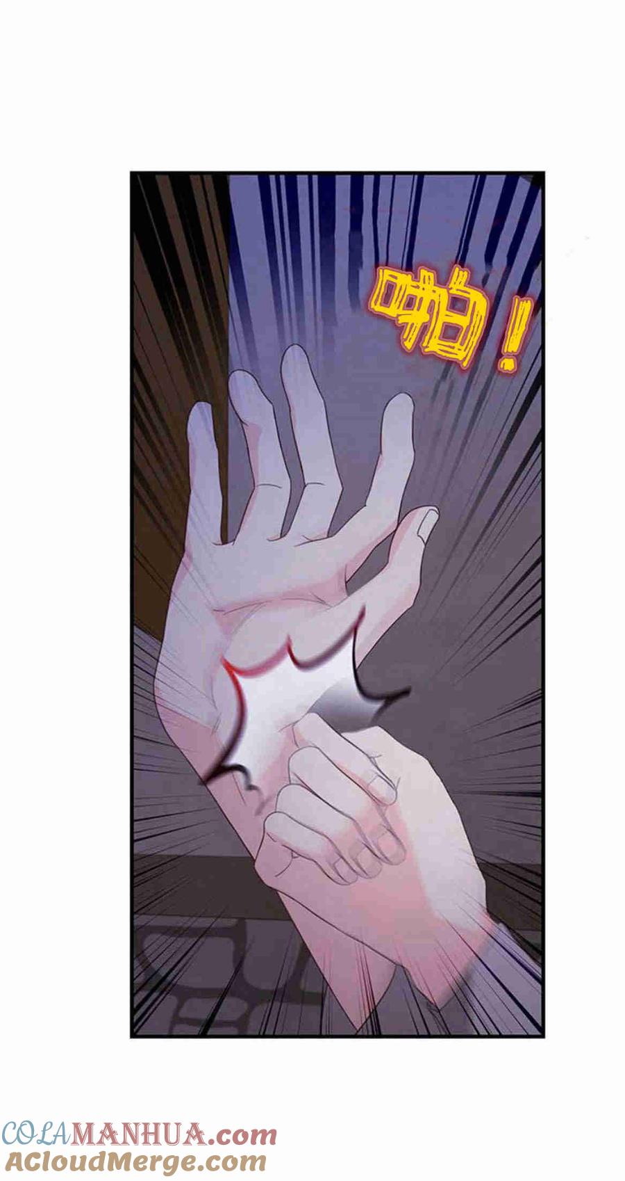 伯爵小姐的双重生活 第28话 第52页