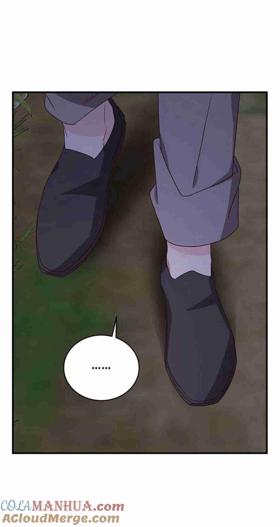 伯爵小姐的双重生活 第28话 第25页