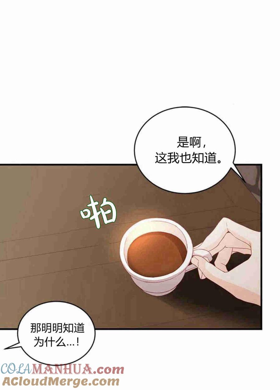 伯爵小姐的双重生活 第28话 第16页