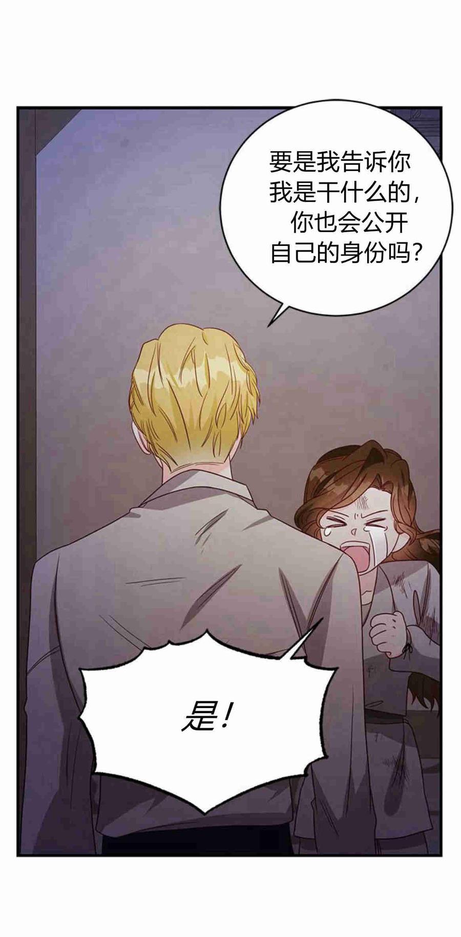 伯爵小姐的双重生活 第28话 第78页