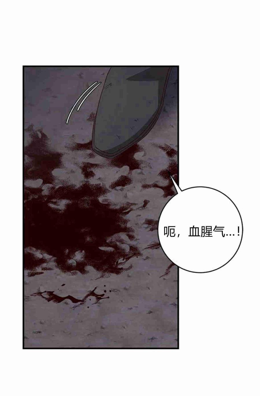 伯爵小姐的双重生活 第28话 第30页