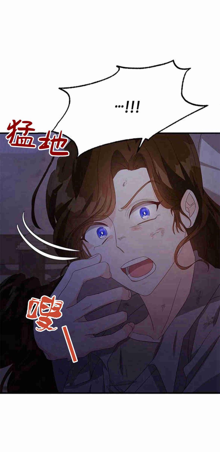 伯爵小姐的双重生活 第28话 第48页