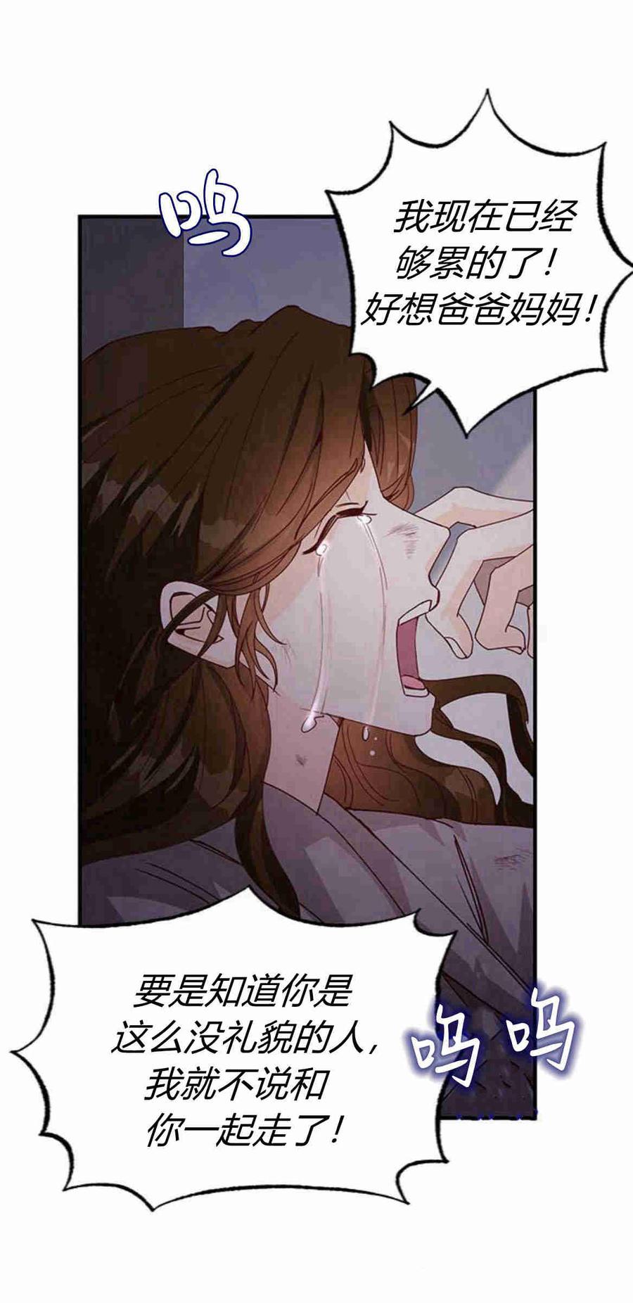 伯爵小姐的双重生活 第28话 第75页