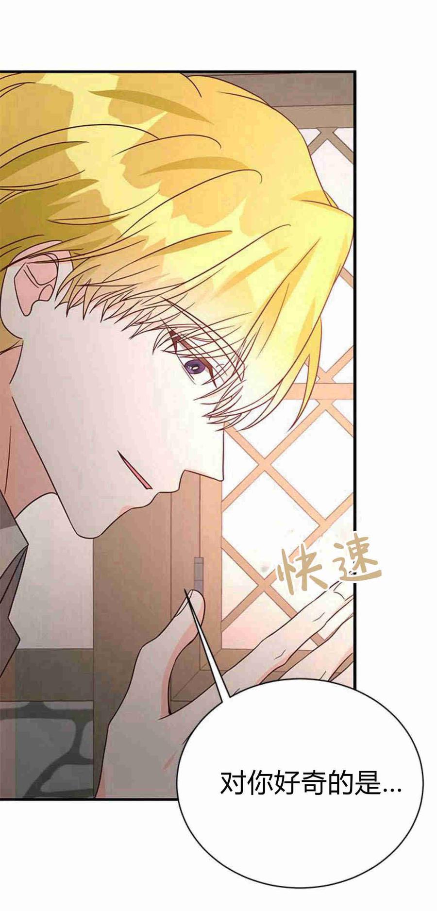 伯爵小姐的双重生活 第29话 第45页