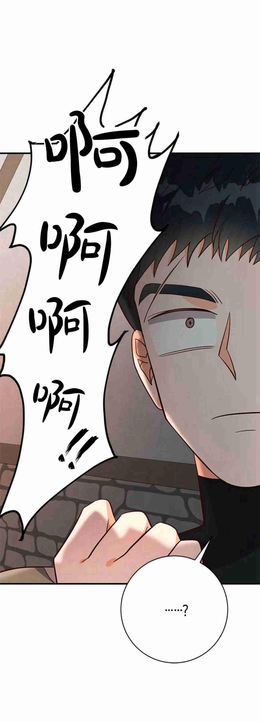 伯爵小姐的双重生活 第29话 第66页