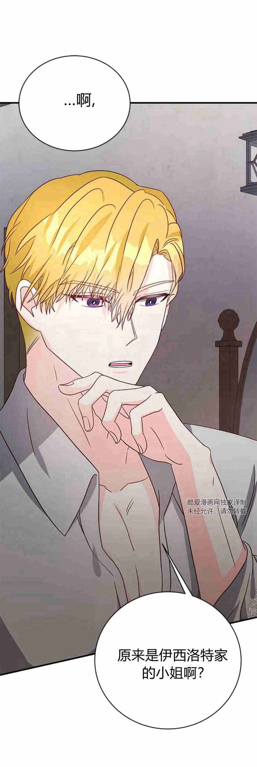伯爵小姐的双重生活 第29话 第41页