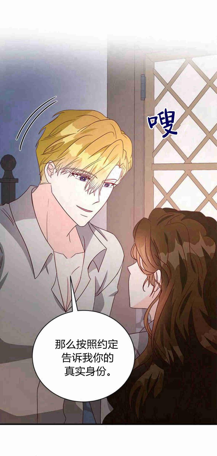伯爵小姐的双重生活 第29话 第35页