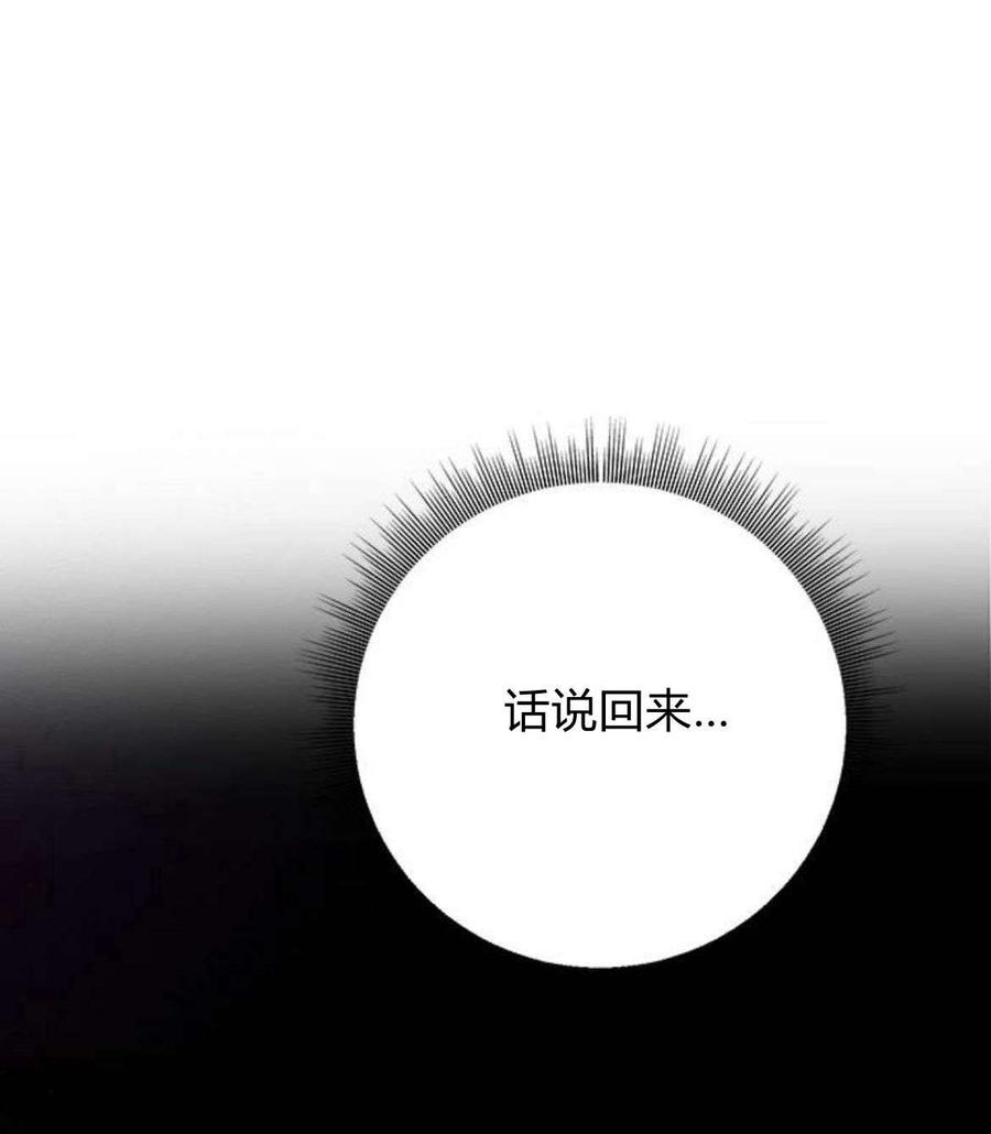 伯爵小姐的双重生活 第30话 第33页
