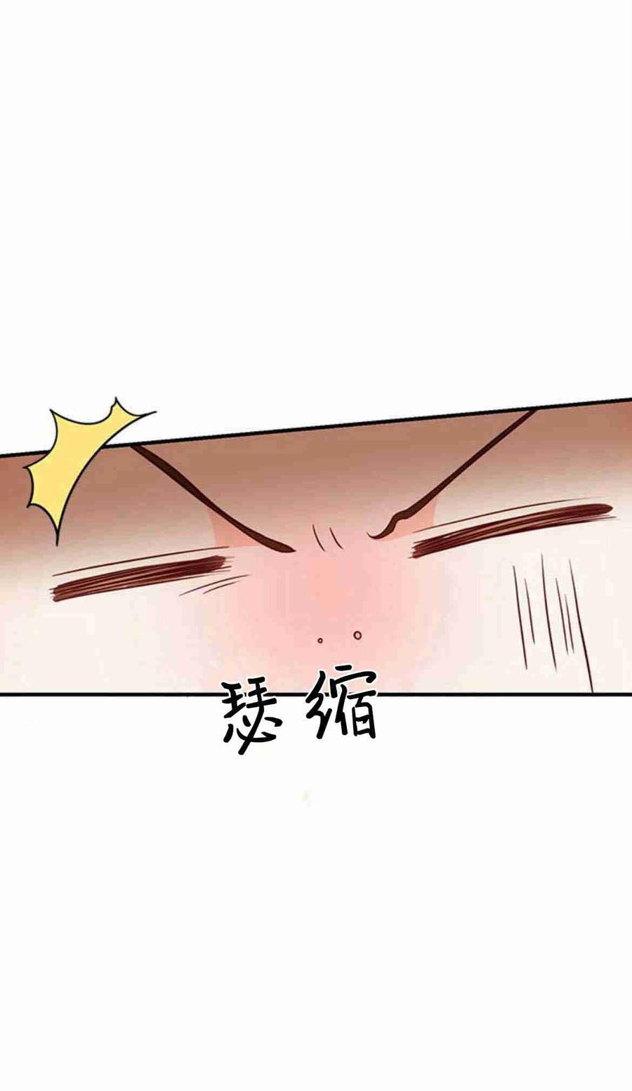 伯爵小姐的双重生活 第30话 第9页