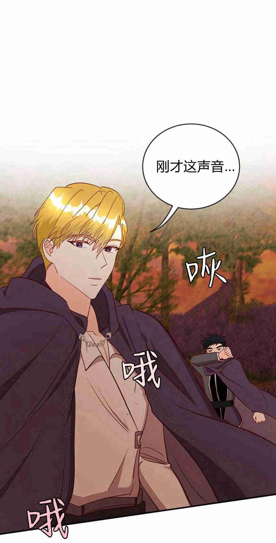 伯爵小姐的双重生活 第30话 第68页