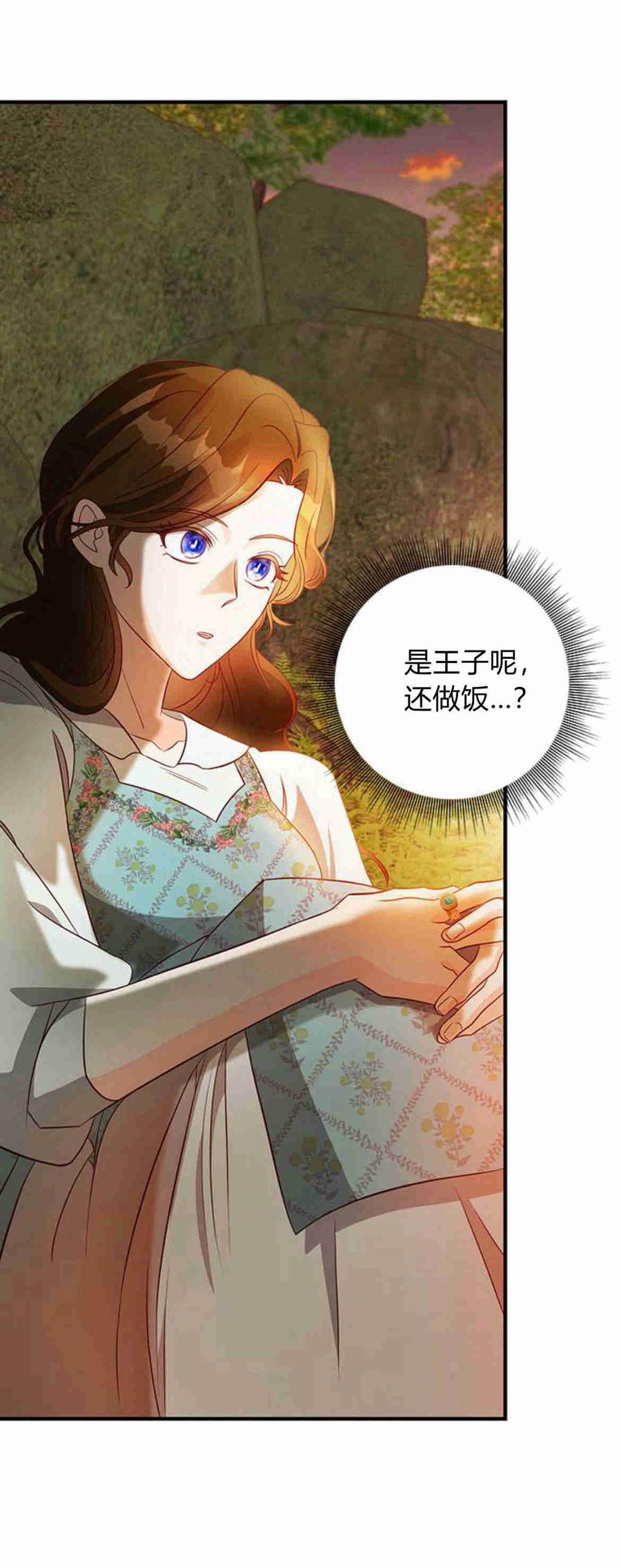 伯爵小姐的双重生活 第30话 第21页