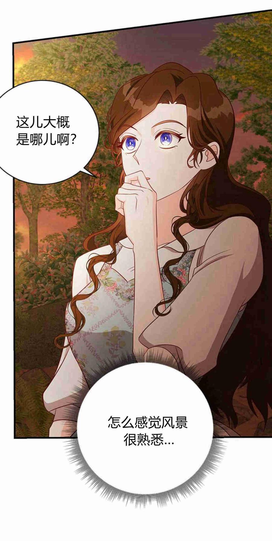 伯爵小姐的双重生活 第30话 第48页
