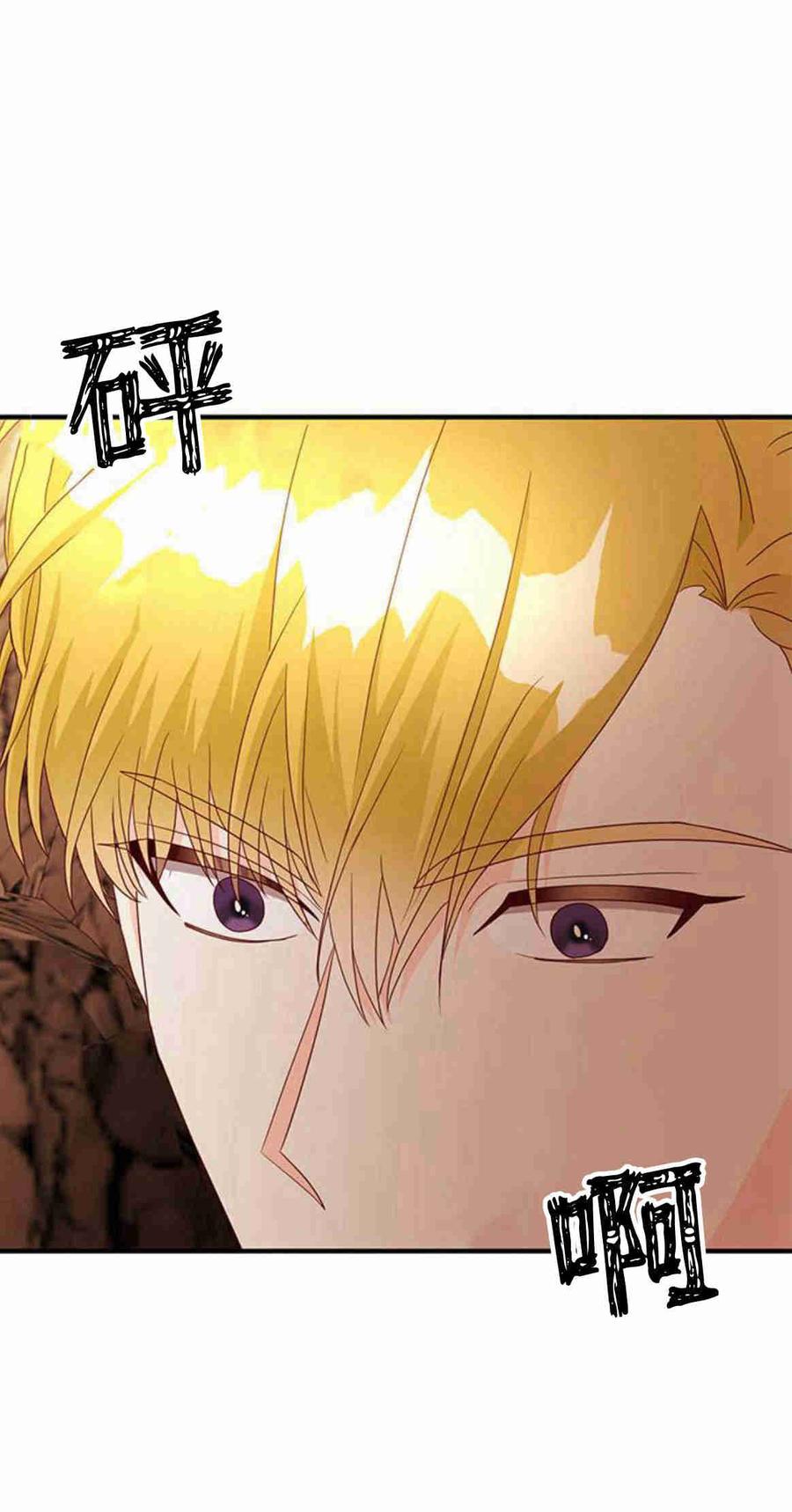 伯爵小姐的双重生活 第31话 第35页