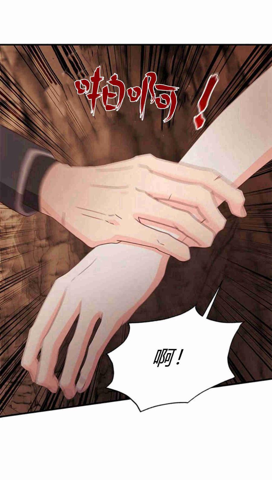 伯爵小姐的双重生活 第31话 第66页