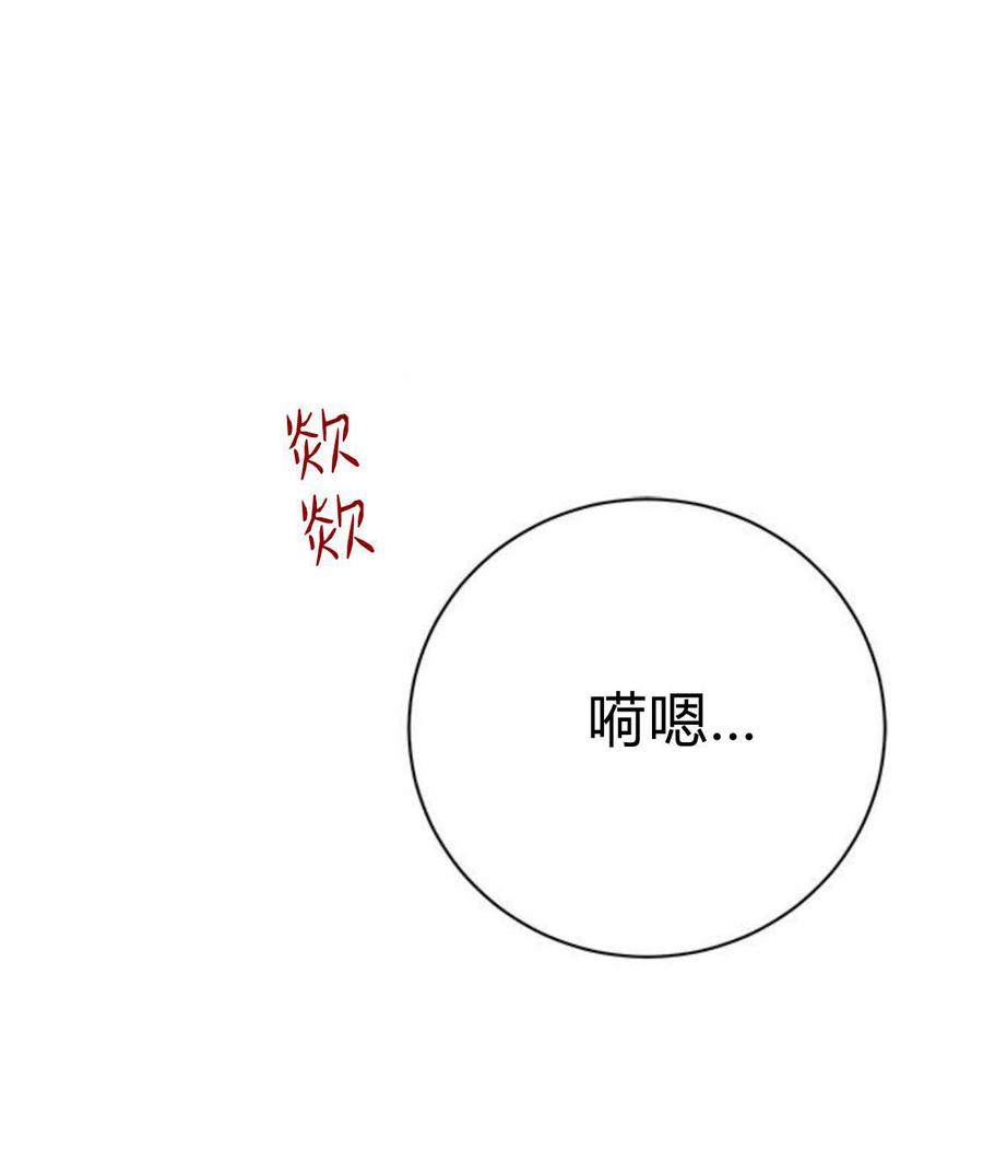 伯爵小姐的双重生活 第32话 第11页