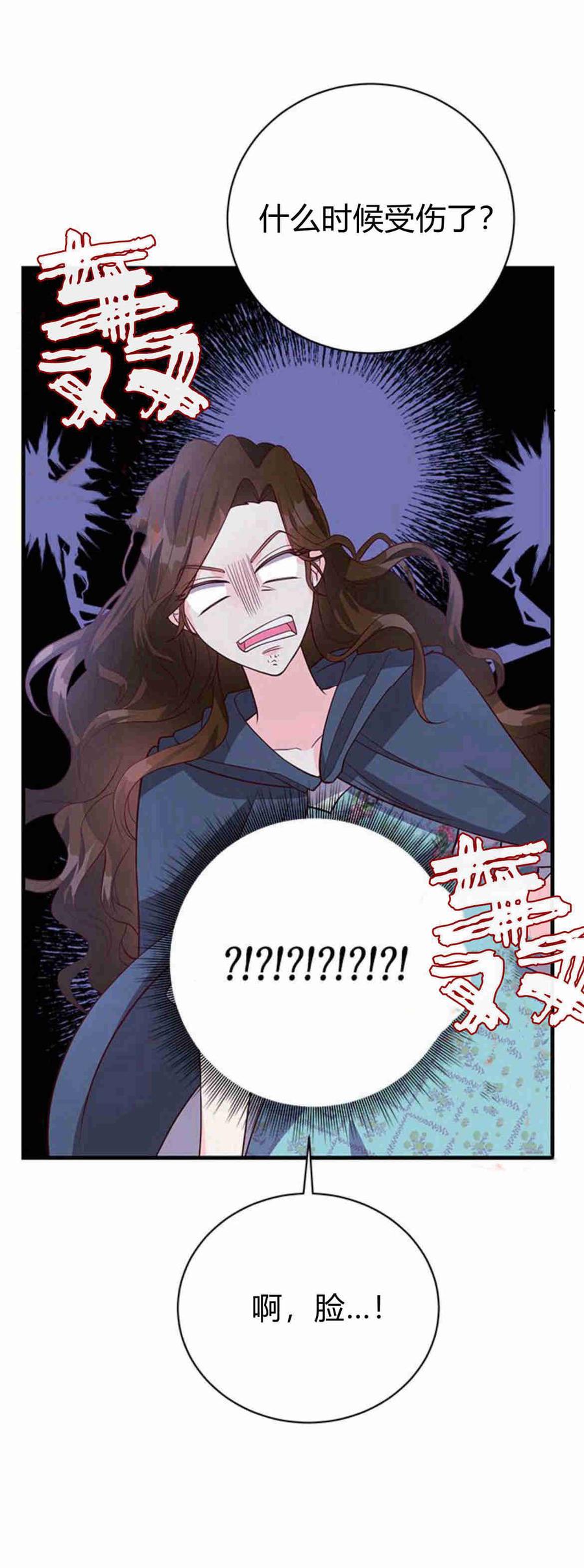 伯爵小姐的双重生活 第32话 第75页