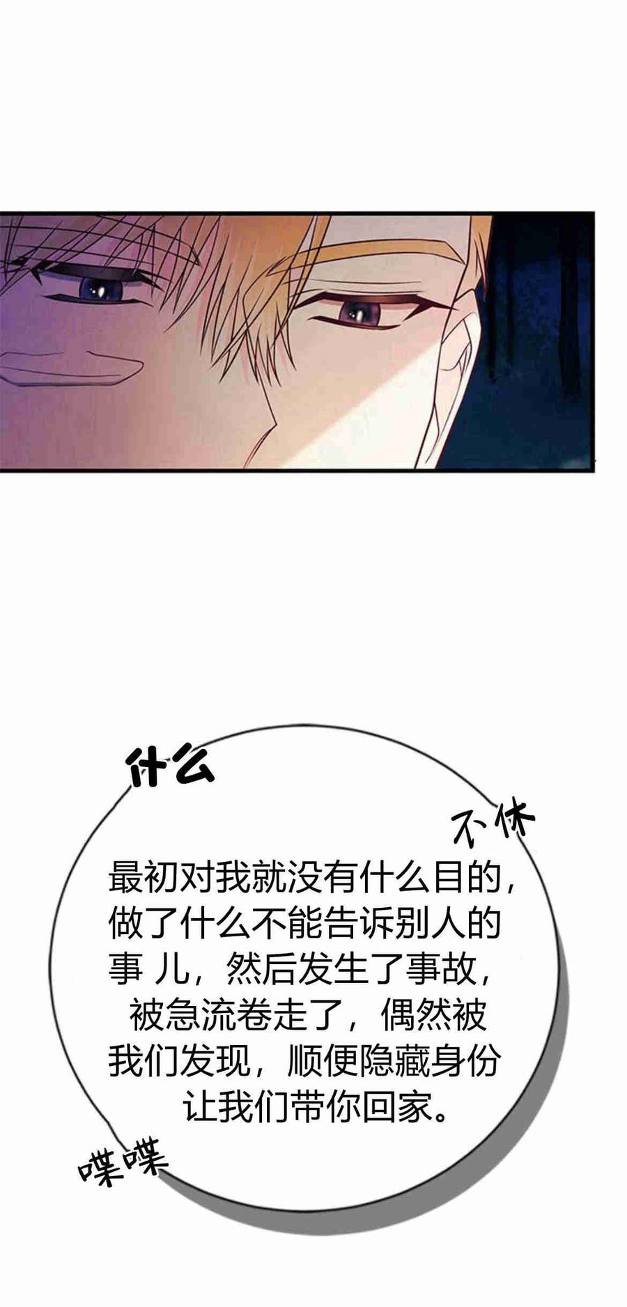 伯爵小姐的双重生活 第33话 第30页