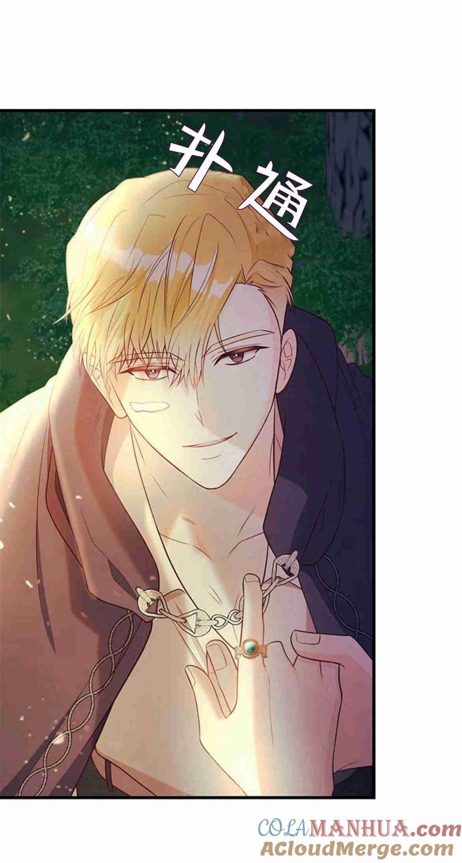 伯爵小姐的双重生活 第33话 第43页