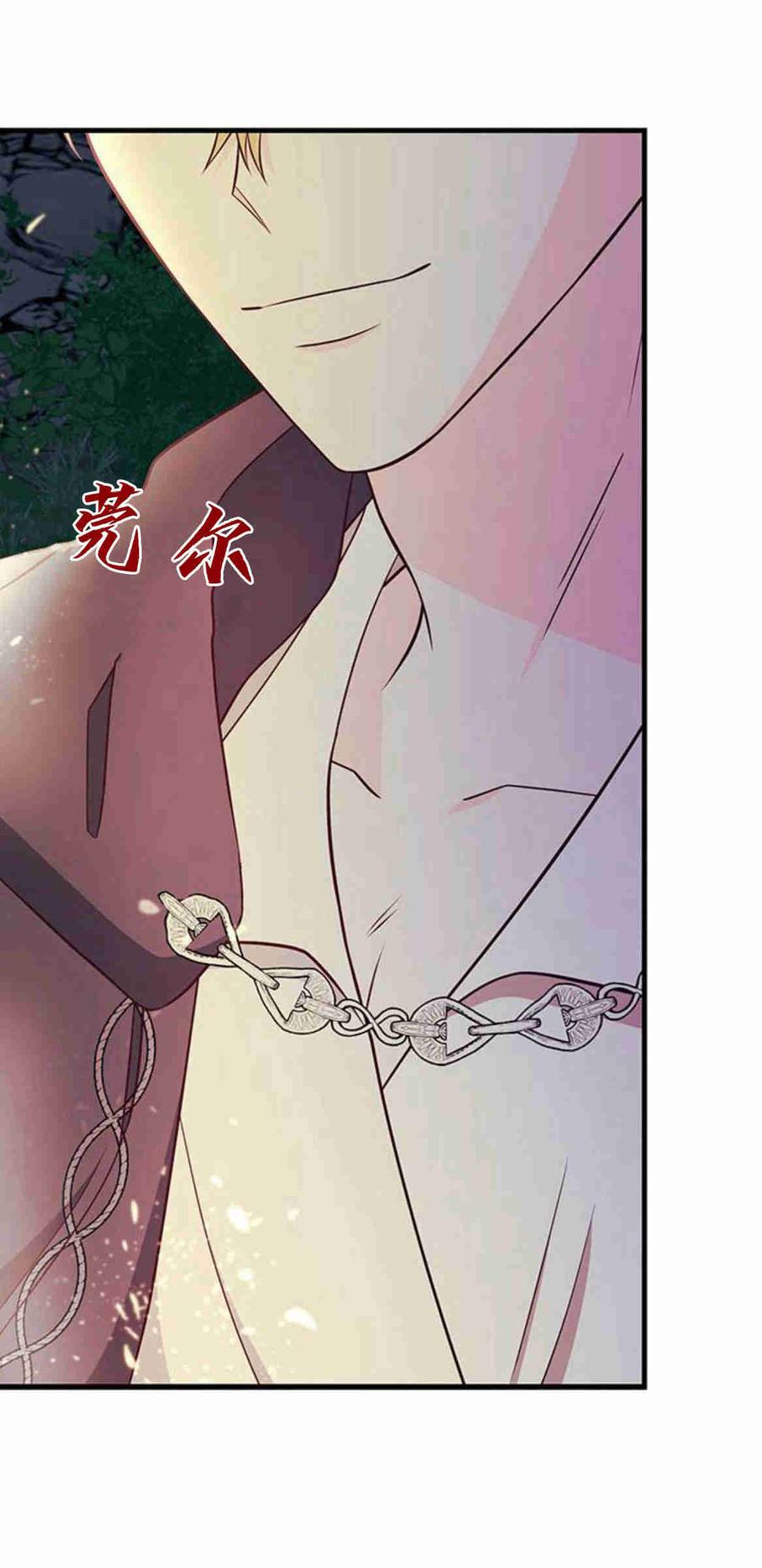 伯爵小姐的双重生活 第33话 第33页