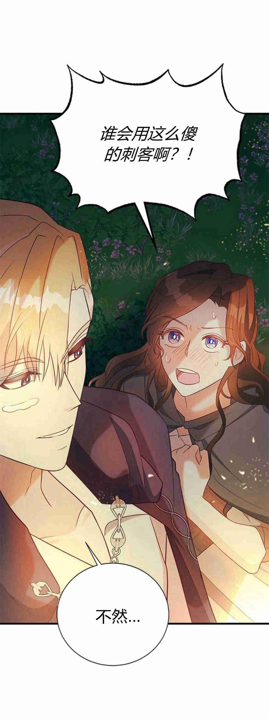 伯爵小姐的双重生活 第33话 第29页