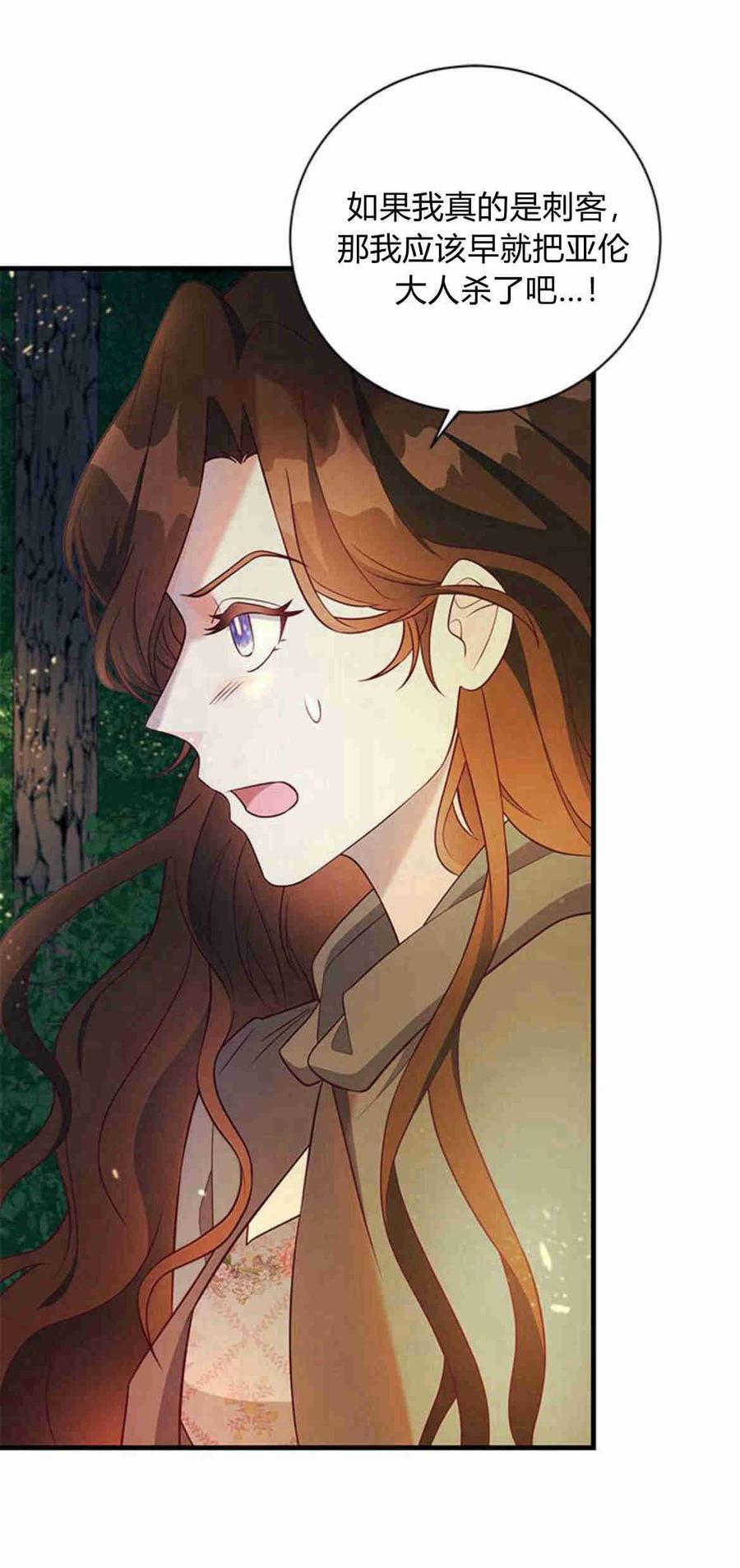 伯爵小姐的双重生活 第33话 第27页