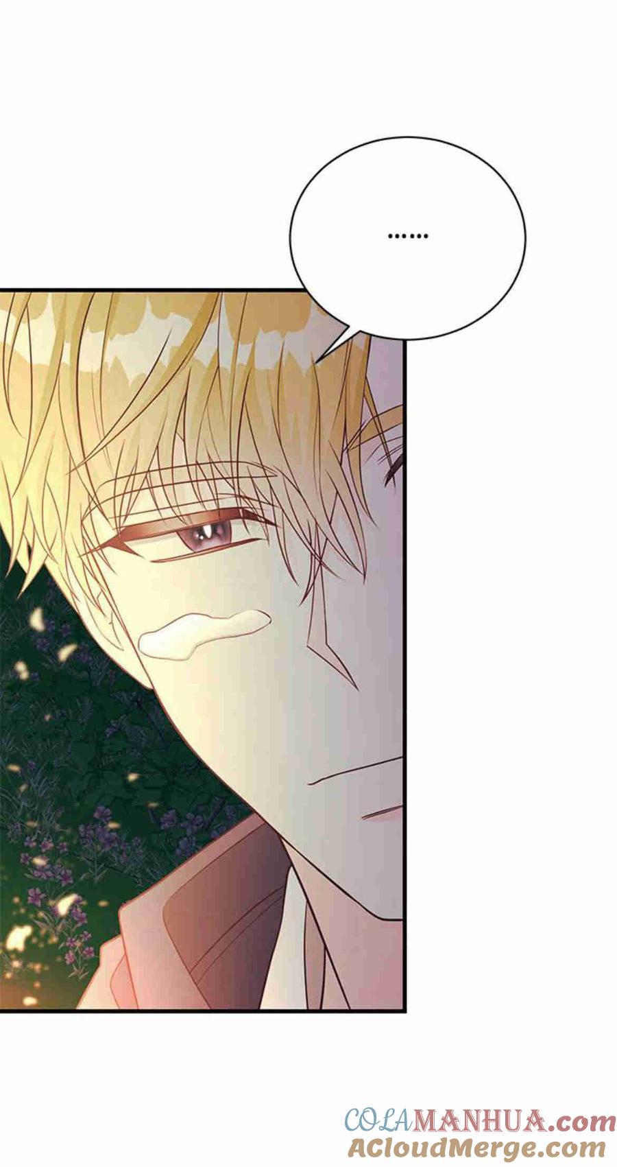 伯爵小姐的双重生活 第33话 第13页