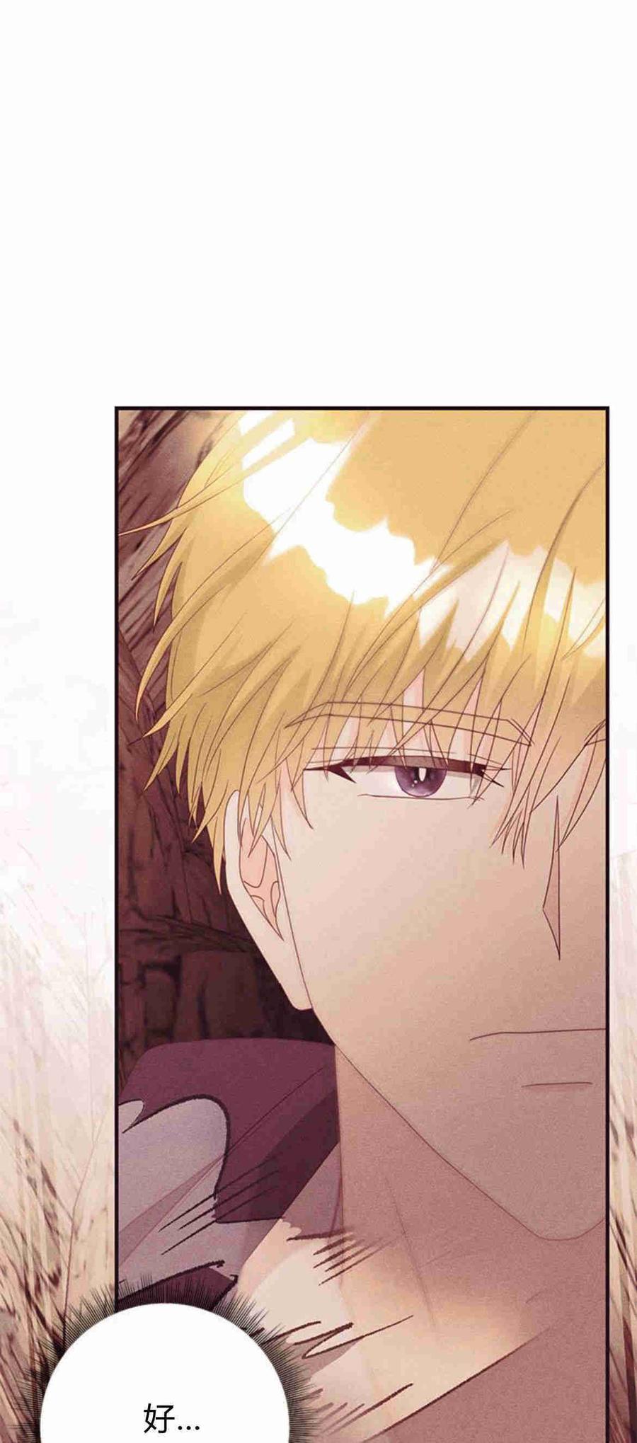 伯爵小姐的双重生活 第34话 第71页