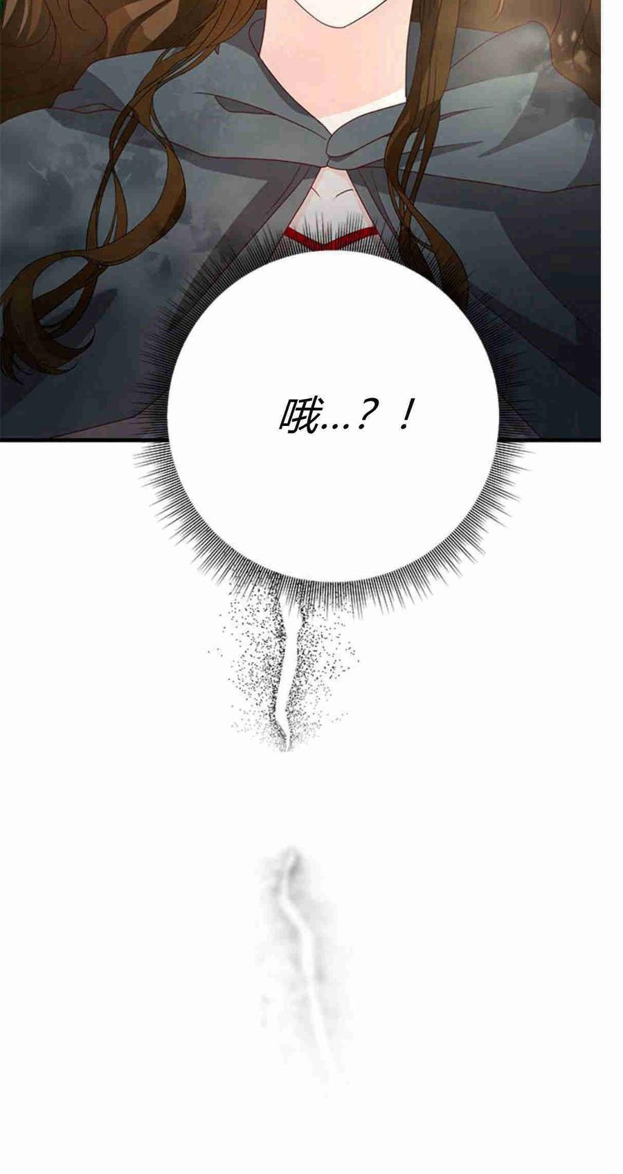 伯爵小姐的双重生活 第34话 第48页
