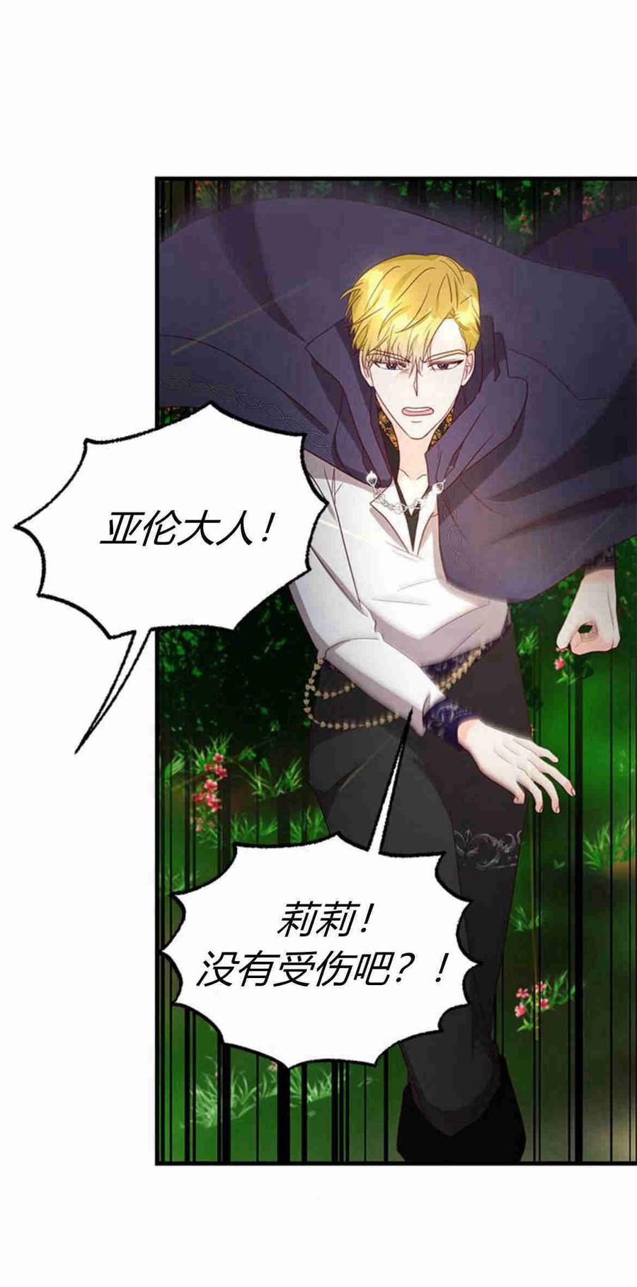 伯爵小姐的双重生活 第34话 第67页