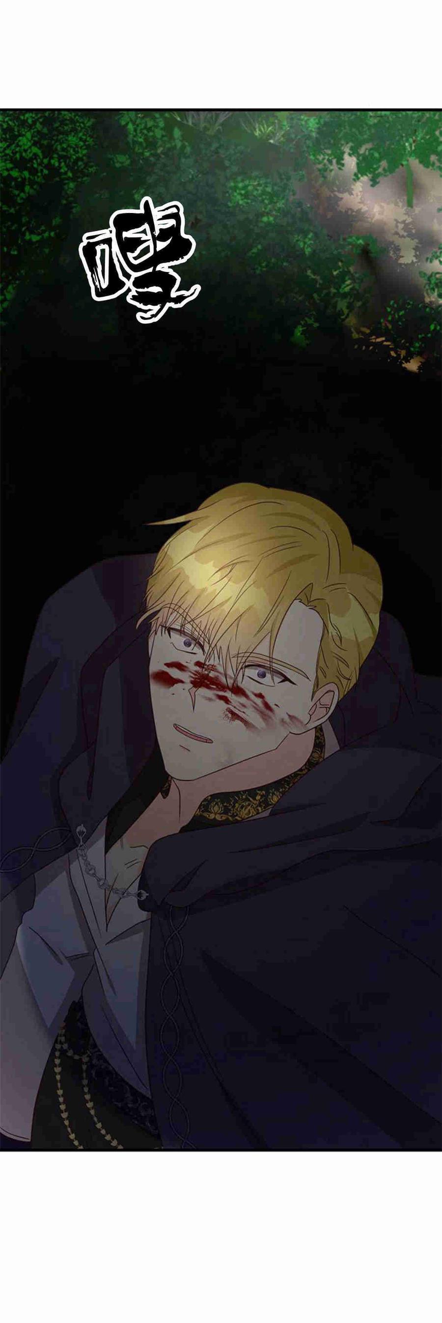 伯爵小姐的双重生活 第34话 第104页